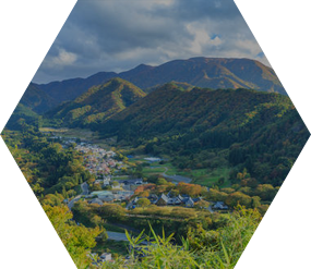 Regional Economies